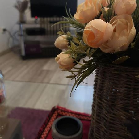 Deea Apartament Apartment Крайова Екстериор снимка